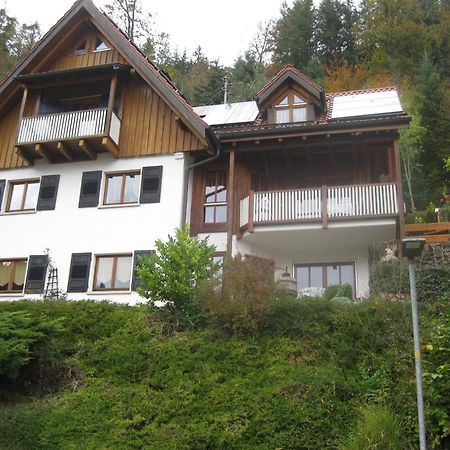 Urlaub Mit Blick Auf Schiltachs Fachwerkhaeuser Kültér fotó