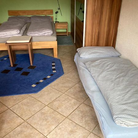 Urlaub Mit Blick Auf Schiltachs Fachwerkhaeuser Kültér fotó