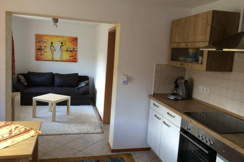 Urlaub Mit Blick Auf Schiltachs Fachwerkhaeuser Kültér fotó