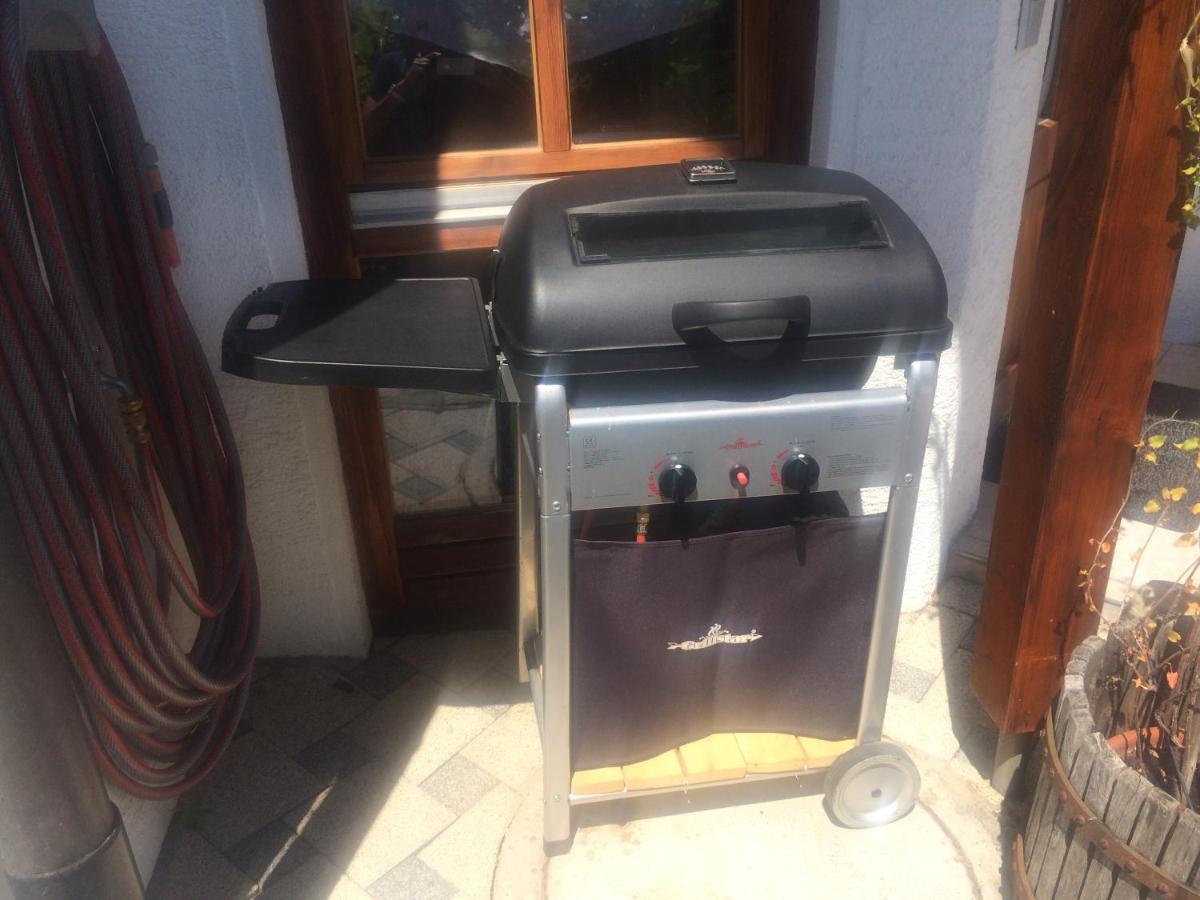 Urlaub Mit Blick Auf Schiltachs Fachwerkhaeuser Kültér fotó