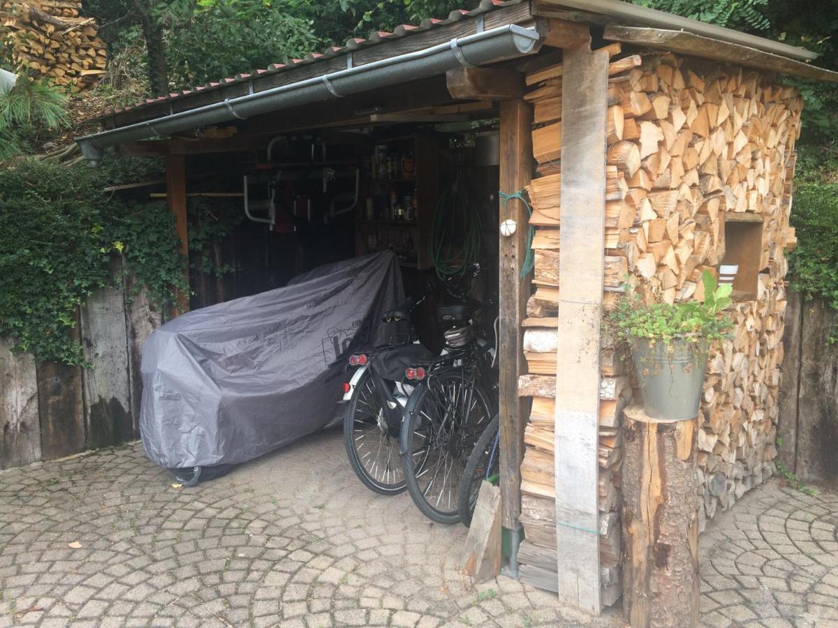 Urlaub Mit Blick Auf Schiltachs Fachwerkhaeuser Kültér fotó